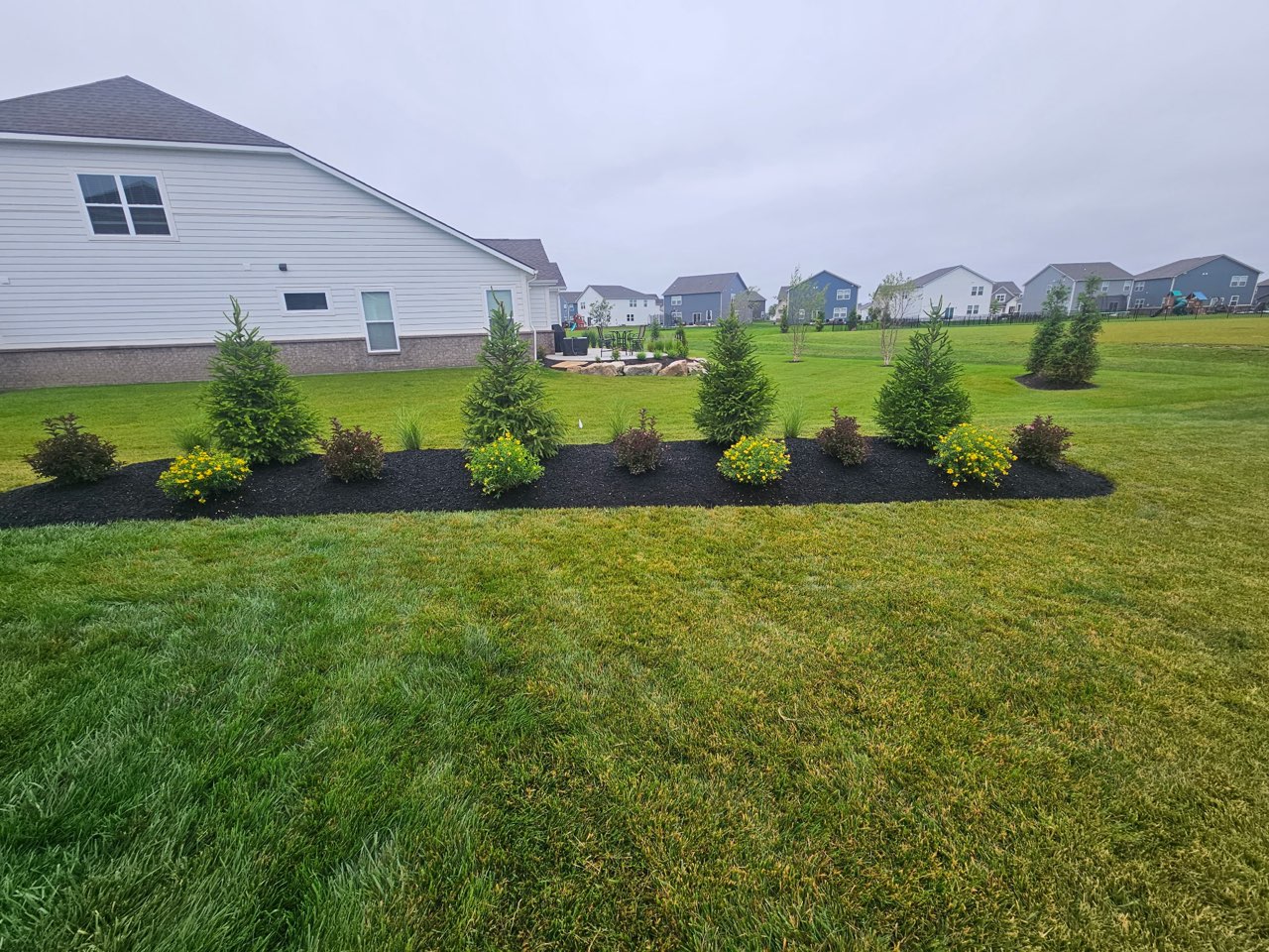 New landscape planting