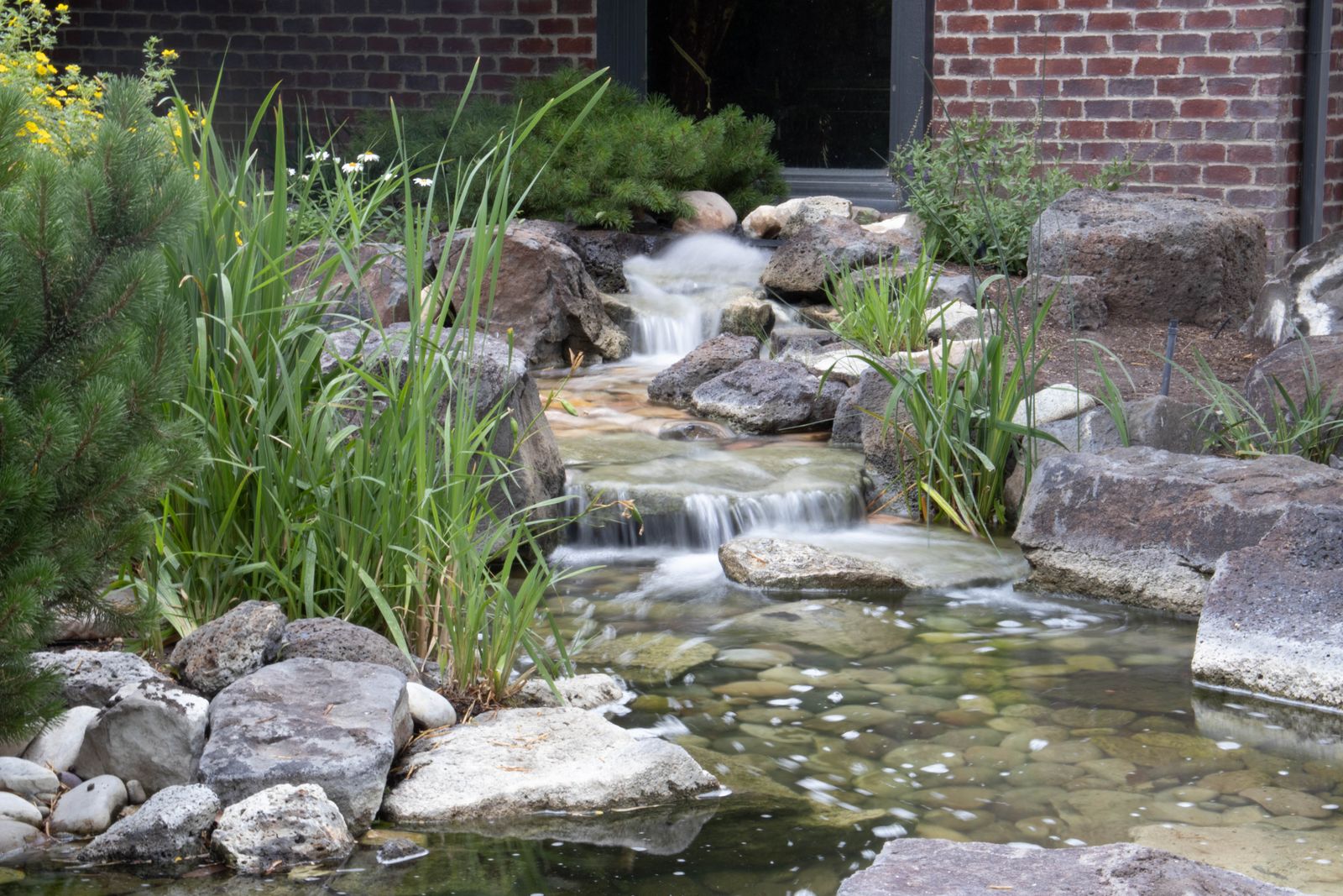 Ponds & Water Features